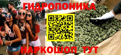 индика Бузулук