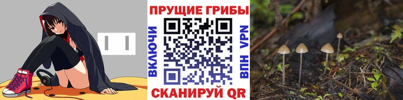 Галлюциногенные грибы мицелий  KRAKEN зеркало  Мыски 